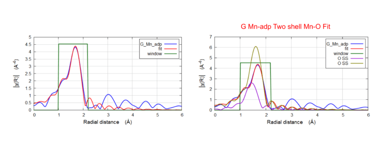 Mn K-Edge EXAFS FEFF fitting of the G-Mn-adp. Comparing model C-Mn-adp and FEFF fit with Mn-O shells. Results showed the population of short bonds increased (CN doubles, from 0.6 → 1.3) and the ratio of long bonds decreased (5.4 → 4.6).